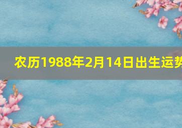 农历1988年2月14日出生运势