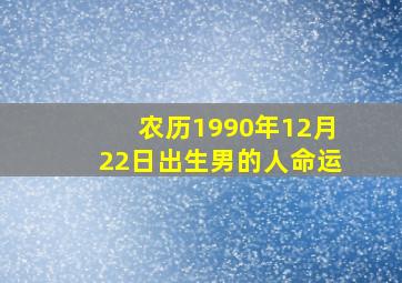 农历1990年12月22日出生男的人命运