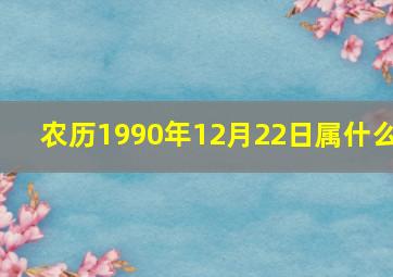 农历1990年12月22日属什么