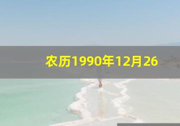 农历1990年12月26