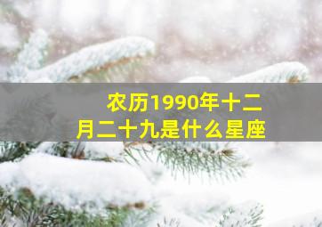 农历1990年十二月二十九是什么星座