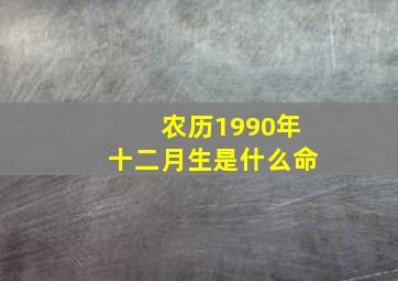 农历1990年十二月生是什么命