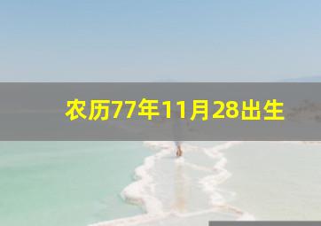 农历77年11月28出生