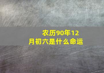 农历90年12月初六是什么命运