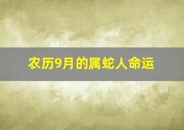 农历9月的属蛇人命运