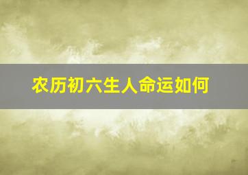 农历初六生人命运如何