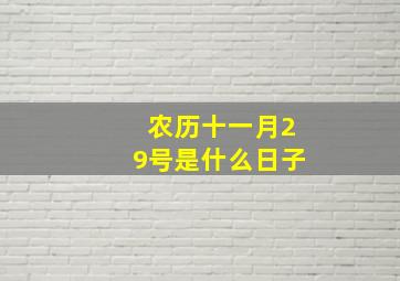 农历十一月29号是什么日子