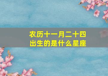 农历十一月二十四出生的是什么星座