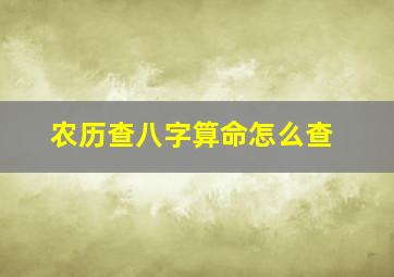 农历查八字算命怎么查