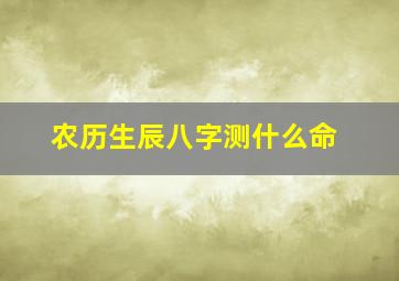 农历生辰八字测什么命