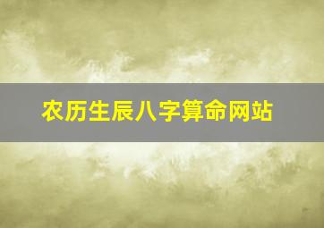 农历生辰八字算命网站