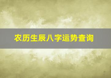 农历生辰八字运势查询