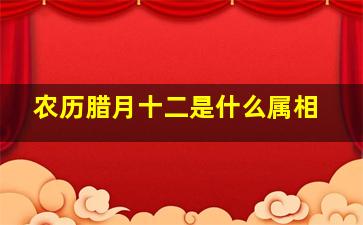 农历腊月十二是什么属相