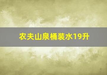 农夫山泉桶装水19升