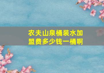 农夫山泉桶装水加盟费多少钱一桶啊