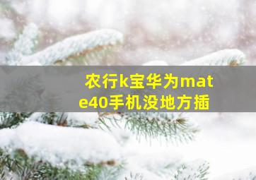 农行k宝华为mate40手机没地方插