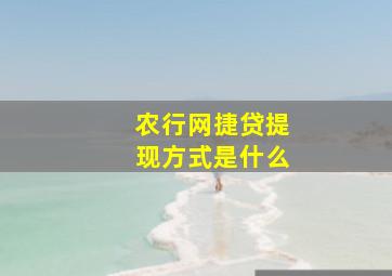 农行网捷贷提现方式是什么