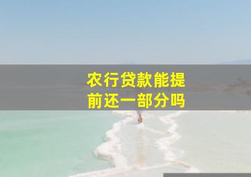 农行贷款能提前还一部分吗