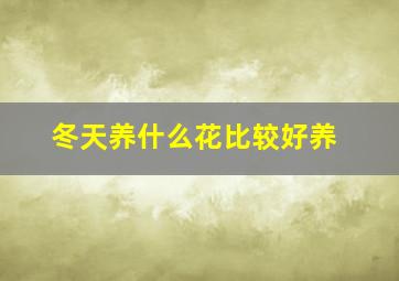 冬天养什么花比较好养