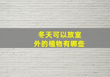 冬天可以放室外的植物有哪些