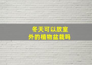 冬天可以放室外的植物盆栽吗