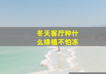 冬天客厅种什么绿植不怕冻