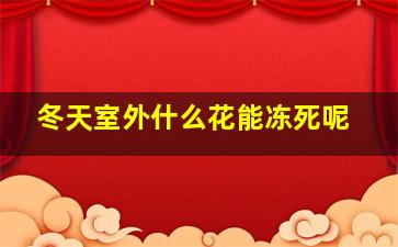 冬天室外什么花能冻死呢