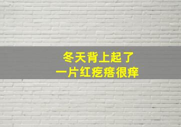 冬天背上起了一片红疙瘩很痒