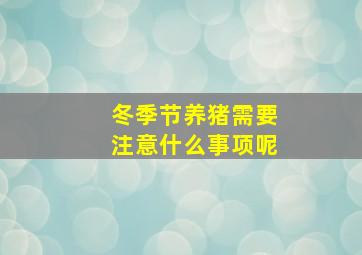 冬季节养猪需要注意什么事项呢