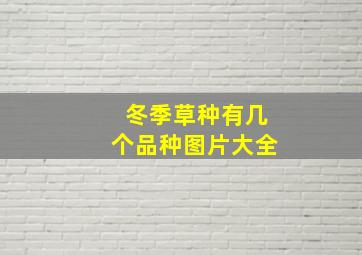 冬季草种有几个品种图片大全