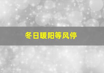 冬日暖阳等风停