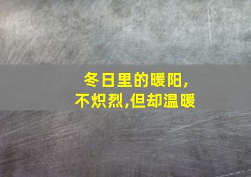 冬日里的暖阳,不炽烈,但却温暖