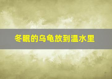 冬眠的乌龟放到温水里