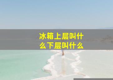 冰箱上层叫什么下层叫什么