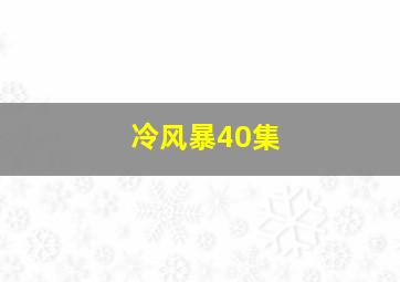 冷风暴40集