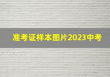 准考证样本图片2023中考