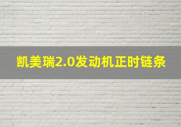 凯美瑞2.0发动机正时链条