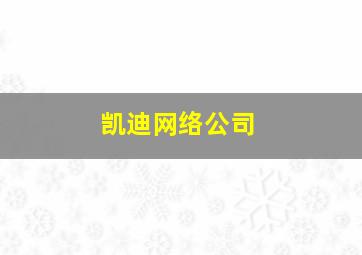 凯迪网络公司