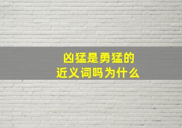 凶猛是勇猛的近义词吗为什么