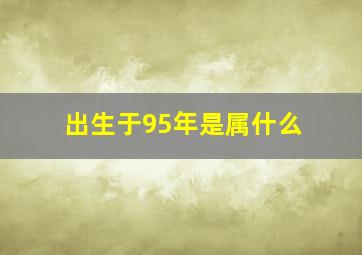 出生于95年是属什么