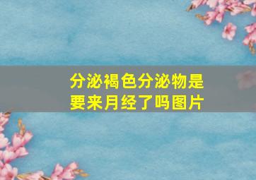 分泌褐色分泌物是要来月经了吗图片