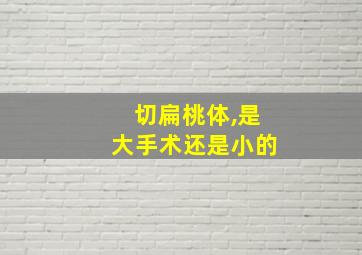 切扁桃体,是大手术还是小的