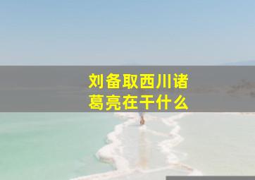 刘备取西川诸葛亮在干什么