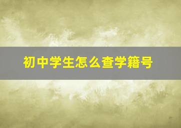 初中学生怎么查学籍号