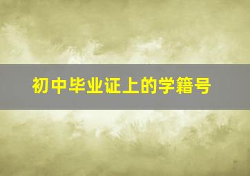 初中毕业证上的学籍号