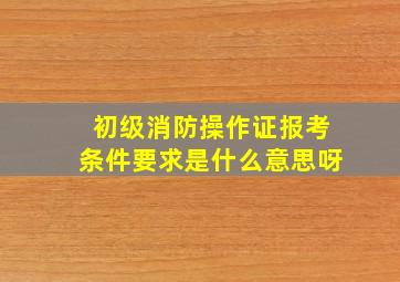 初级消防操作证报考条件要求是什么意思呀