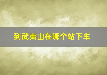 到武夷山在哪个站下车