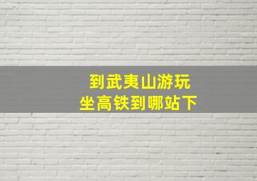 到武夷山游玩坐高铁到哪站下