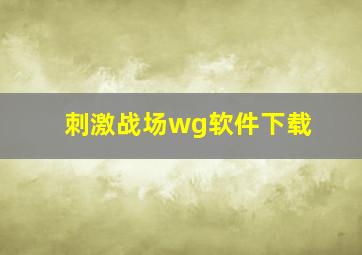 刺激战场wg软件下载