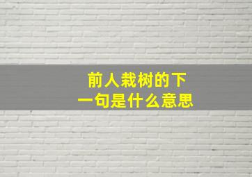 前人栽树的下一句是什么意思